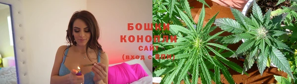 дурь Каменка