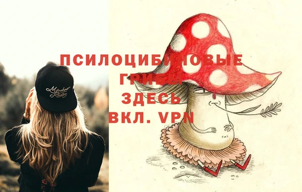 дурь Каменка