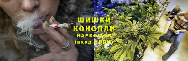 дурь Каменка