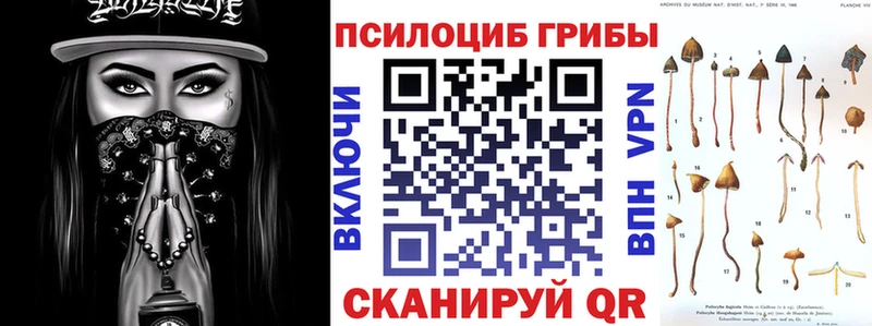 Галлюциногенные грибы прущие грибы  Купить  Порхов 